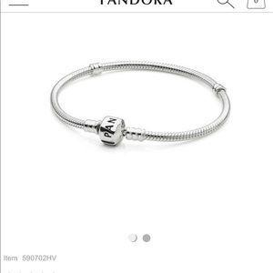 Pandora bracelet plus bead
